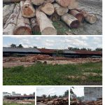 IMG-20260518-WA0005